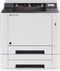 Kyocera ECOSYS P5021CDW - Draadloze Single-Function Laserprinter