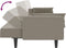 vidaXL - Slaapbank - 2-zits - met - 2 - kussens - fluweel - lichtgrijs