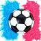 Partizzle Gender Reveal Voetbal - 15 cm - Roze & Blauwe Poeder