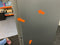 BOSCH KGN36VXCT - Koelvriescombinatie - NoFrost - Geborsteld zwart staal - 218L koelruimte - 103L diepvriesruimte