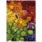 Puzzel Educa Colored Vitamins