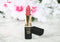 L'ORÉAL PARIS Color Riche Rouge à Lèvres Collection Exclusive Eva Longoria Rose