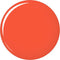 L’Oréal Paris Infallible Nail - 35 Fight For Orange - Oranje - Nagellak