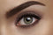 L'Oréal Paris La Petite Palette Oogschaduw - 04 Stylist