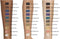 L'Oréal Paris Make-Up Designer Infallible Eye Paint - 207 Sassy Squad - Oogschaduw