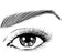L’Oréal Paris - Volume Million Lashes - Classic - Black Waterproof - Zwart - Waterproof Volume Mascara met Kamille en Zwarte Orchidee Oliën - 10,7 ml