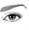 L’Oréal Paris Volume Million Lashes Waterproof mascara - Classic - Black Waterproof - Zwart - 10.7ml