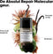 L’Oréal Professionnel Absolut Repair Molecular Leave-In Masker - Voor zeer beschadigd haar - 50ml