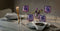 L.S.A. Aurora Wine Glass 450 ml Polar Violet x 4