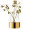 L.S.A. Aurum Lantern/Vase H20cm Clear/Gold