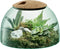 L.S.A. Canopy Planten Terrarium - Ø 24 cm - 16,5 cm Hoog