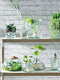 L.S.A. Canopy Planten Terrarium - Ø 24 cm - 16,5 cm Hoog