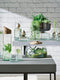L.S.A. Canopy Planten Terrarium - Ø 24 cm - 16,5 cm Hoog