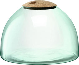L.S.A. Canopy Planten Terrarium - Ø 30,8 cm - 21,8 cm Hoog