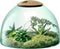 L.S.A. Canopy Planten Terrarium - Ø 30,8 cm - 21,8 cm Hoog