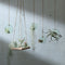 L.S.A. - Canopy Plantenhanger ø 10 cm - Gerecycled Glas - Transparant