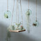 L.S.A. - Canopy Plantenhanger ø 10 cm - Gerecycled Glas - Transparant