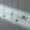 L.S.A. - Canopy Plantenhanger ø 12 cm - Gerecycled Glas - Transparant