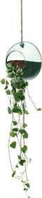 L.S.A. - Canopy Plantenhanger ø 12 cm - Gerecycled Glas - Transparant