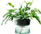 L.S.A. Canopy Self Watering Vaas - 22 cm