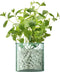 L.S.A. - Canopy Vaas 14 cm Recycled - Gerecycled Glas - Transparant