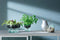 L.S.A. - Canopy Vaas met Bewateringsysteem 14,5 cm - Gerecycled Glas - Transparant