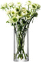 L.S.A. Column Vaas - 28 cm Hoog