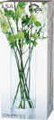 L.S.A. - Column Vaas 42 cm - Glas - Transparant