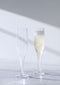 L.S.A. Epoque Champagne Flute 170 ml Clear x 2 - Transparent / Glass