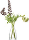 L.S.A. - Flower Vaas 31 cm - Glas - Transparant