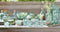 L.S.A. Mia Woonaccessoire Recycled Vazen - 11 cm Hoog - Set van 3 Stuks