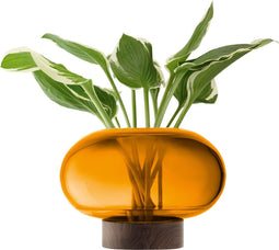 L.S.A. - Oblate Vaas 19,5 cm - Glas - Oranje