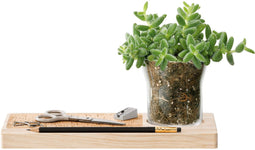 L.S.A. - Plateau Bureau Organizer Plantenset 28 cm - Transparant