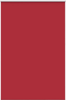 vidaXL - Rolgordijn - verduisterend - 150x210 - cm - stofbreedte - 146,6 - cm