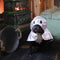 Croci Halloween hondencape tricky ghost / spook - 40, cm