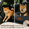 By Cee Cee Fluffy Autostoel Hond - Luxe Hondenmand Auto met Veiligheidsriempje - Donkergrijs - Maat M