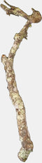 Habistat Kurk Tak 50Cm