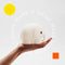 Bundle of Light - Elephant