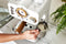 Swan Nordic Espressomachine - Creme - met Stoompijpje