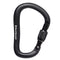 Black Diamond Rocklock HMS karabiner met vlotte schroefsluiting zwart