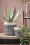Mica Decorations Ascot Plantenstandaard - L14 x B14 x H25 cm - Metaal - Zwart