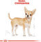 Royal Canin Chihuahua - Adult - Hondenbrokken - 3 KG
