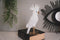 Funny Figures | Kaketoe wit