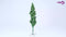vidaXL Kunstkerstboom - 210 cm - PVC - groen