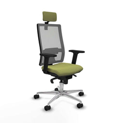 Piqueras y Crespo 2D086N2 - Bureaustoel - Hoofdsteun en armleuning - Groen