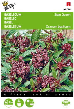 2 stuks - Buzzy - Basilicum Siam Queen
