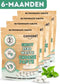 CHOOSE Family Box - Tandpasta Tabletten 3-Maanden Voorraad - Duurzaam - Aanbevolen door Tandartsen - Zero Waste - Vegan - Fluoride - Ecologisch Verantwoord