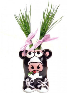 Buzzy Munakuppi - Koe