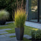 Plant in a Box - Panicum virgatum 'Heavy Metal' - Vingergras - Siergras - Tuinplant - ⌀ 23 cm - Hoogte 40-60 cm