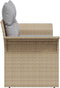 vidaXL - 2-Zits - Tuinbank - met - Opbergruimte - & - Kussens - Beige - Poly - Rattan